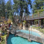 Wilderness Trail at Cultus Lake Adventure Park