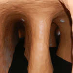 Wilderness Trail at Cultus Lake Adventure Park